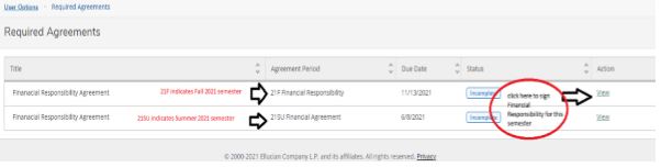 Financial Responsibility Step 5