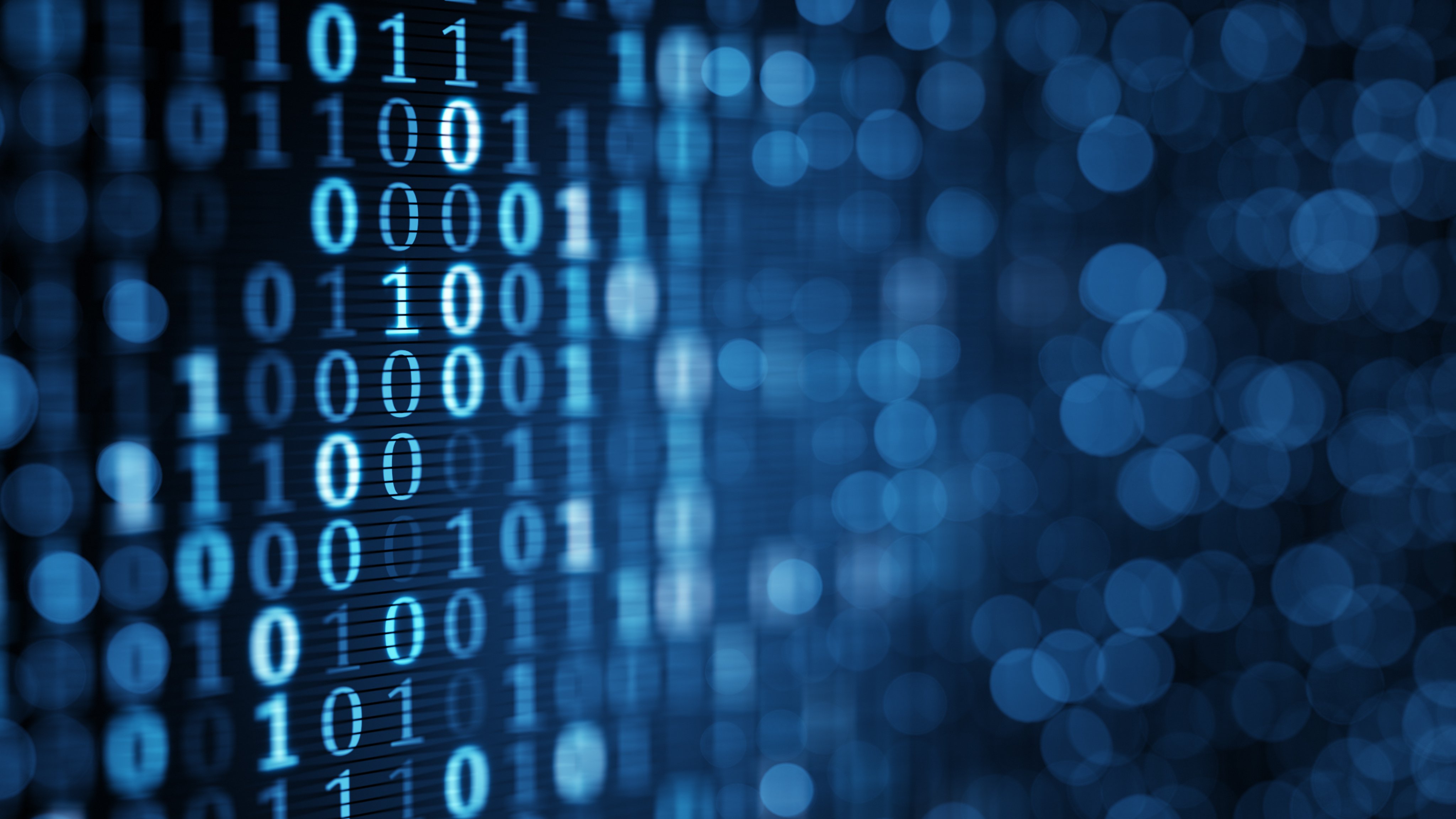 Binary numbers on a computer screen.