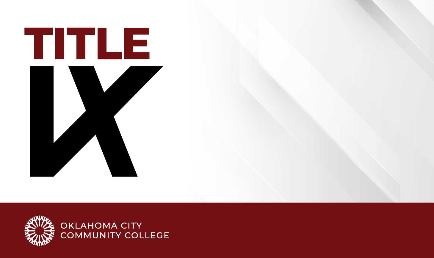Title IX banner